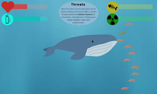 Marine Mammal Mania Screen 2