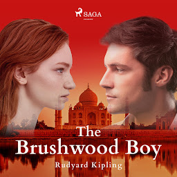 Icon image The Brushwood Boy