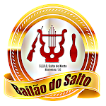 Cover Image of Скачать Bailão do Salto  APK