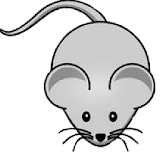 Mouse Run icon