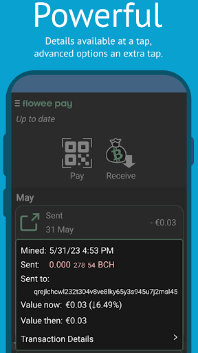 Flowee Pay: BitcoinCash Wallet Screen 2
