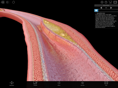 Screenshot di fisiologia e patologia