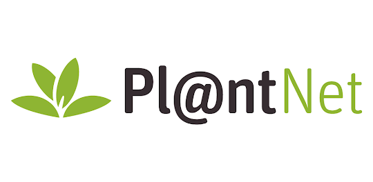PlantNet 植物辨識