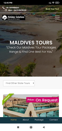 Holiday Solutions Screen 2
