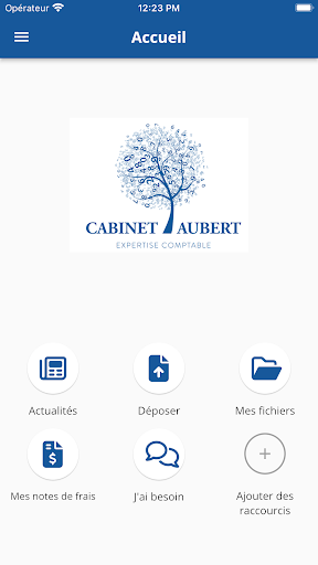 Aubert Expertise Comptable Screen 2