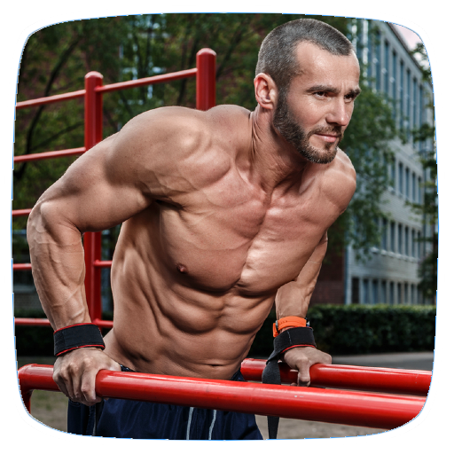 Bar Dip Workout Guide