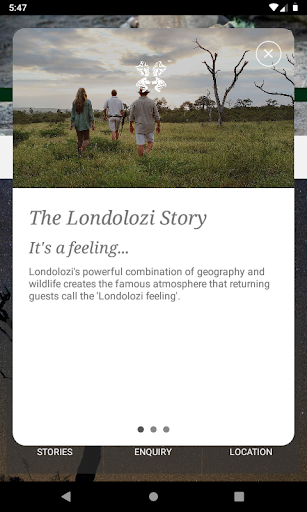 Londolozi Screen 2
