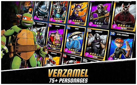 Screenshotafbeelding