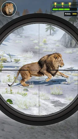 Game screenshot Hunting Champs! hack