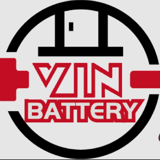 VIN BATTERY SUPPLIES logo