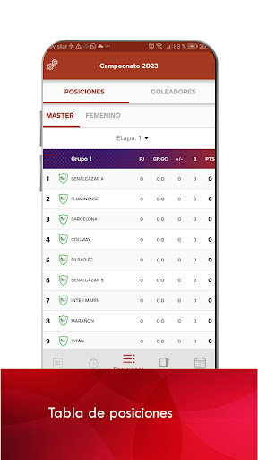 Liga Chillogallo Screen 2