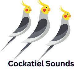 Cockatiel Sounds