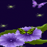 Blue Flower Butterflies LWP icon