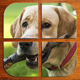 Dogs jigsaw puzzles (FREE) icon