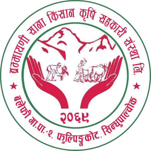 Brammayani Smart Banking logo