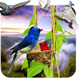 3D Birds Live Wallpaper HD icon