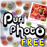 Puri Photo (free) icon