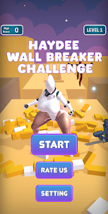 Haydee Wall Breaker Challenge