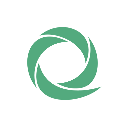 Cleversite logo
