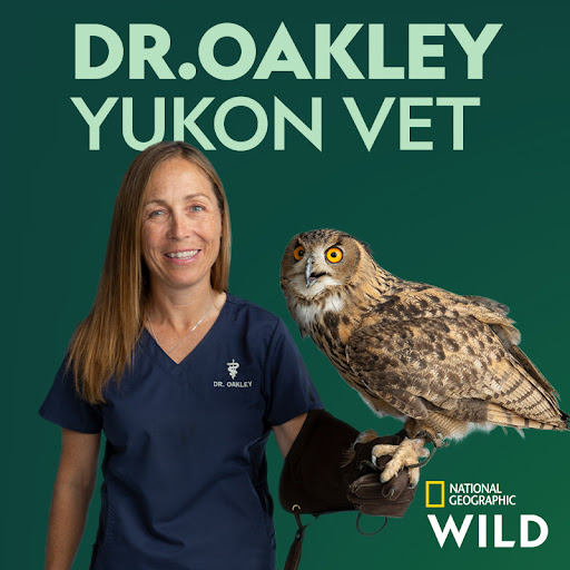 Сериалы в Google Play - Dr. Oakley, Yukon Vet: Сезон 1.