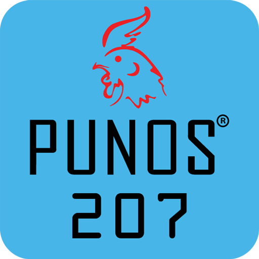 Punos 207 logo