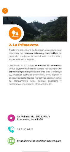 Zapopan Travel Screen 3