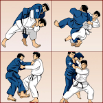 Cover Image of Download judo technique  APK