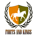 Kings And Forts icon