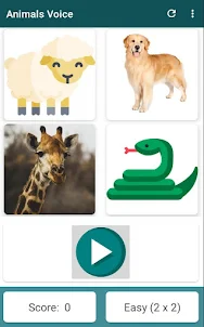 Animals Voice Learning