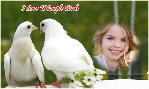 Couple Birds Photo Frames Screen 3