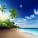 Cover Image of Download Beach Live Wallpaper  APK