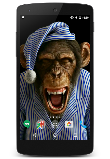 Funny Monkeys Live Wallpaper Screen 2
