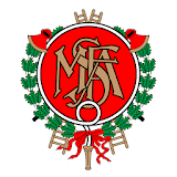 MSFA icon