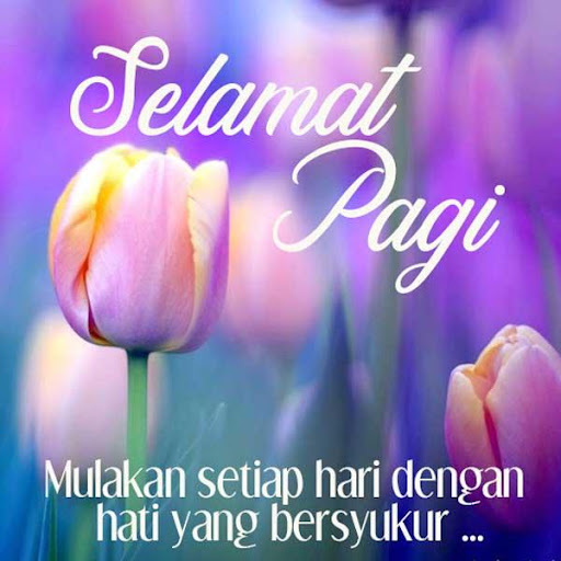 Pratinjau aplikasi