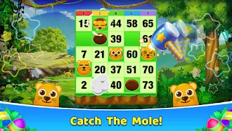Game screenshot Bingo 365 - Offline Bingo Game apk download