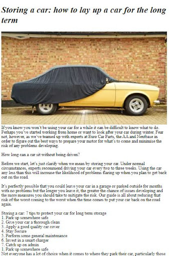 How to Store a Car Long Term ekran görüntüsü