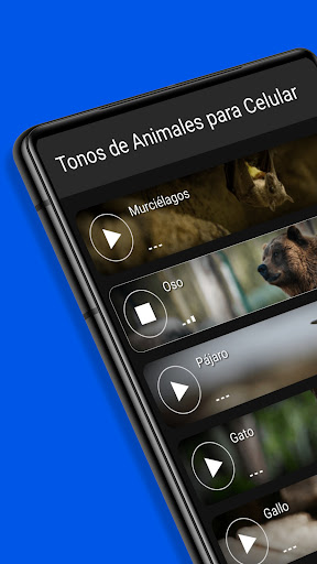 Vista previa de la aplicación