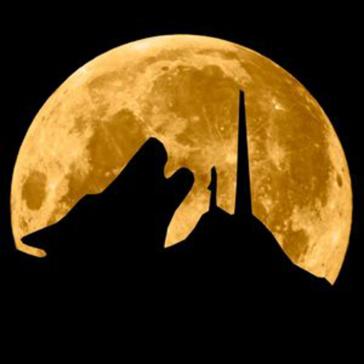 Radio Lobo.MX Hermosillo logo
