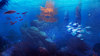 screenshot of VR Abyss: Sharks & Sea Worlds