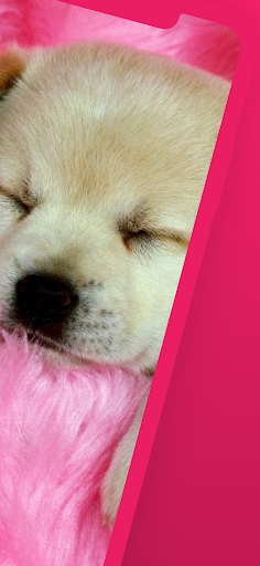 Cute dog wallpapers puppy Screen 2