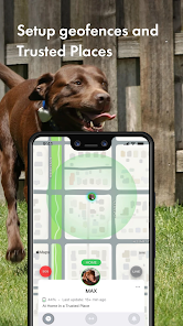 Jiobit dog tracker hotsell