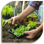 Top 28 House & Home Apps Like Gardening Tips (Guide) - Best Alternatives