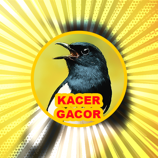 Suara Kicau: Burung Kacer Screen 3