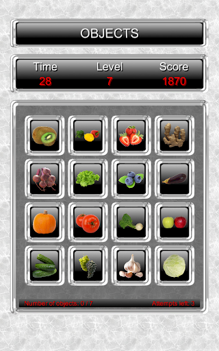 Family Memory Trainer Screen 3