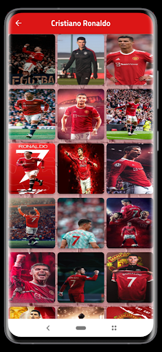 Portugalian team wallpaper Screen 2