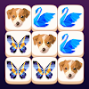 Poly Match icon