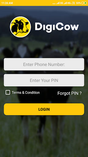 DigiCow Screen 2