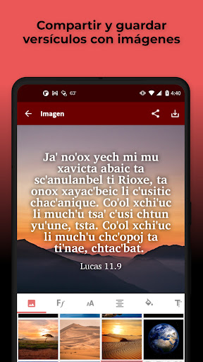 Tzotzil Zinacantán Bible Screen 2