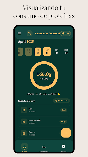 Vista previa de la aplicación