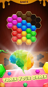 Hexa Puzzle Fun Block Match